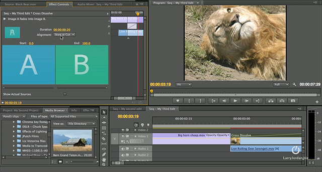 Adobe Video Editor For Mac