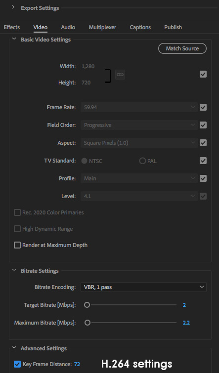 adobe media encoder rip dvd