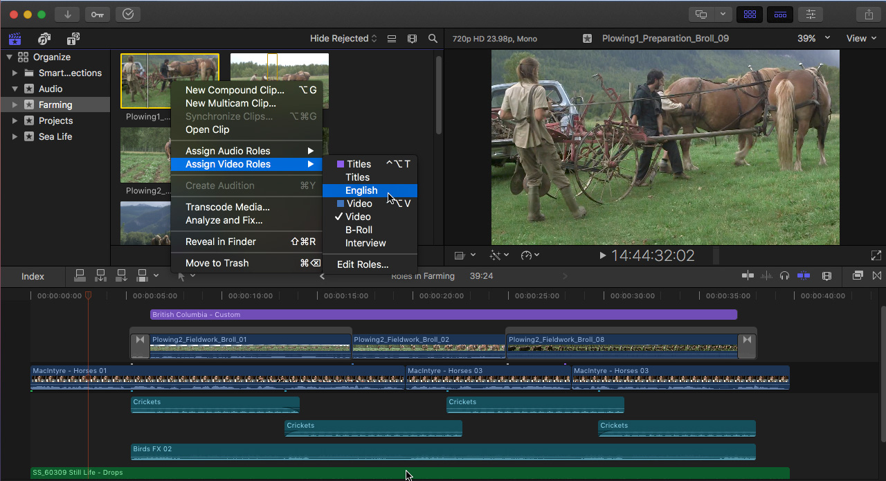 Apple Final Cut Pro X 10.4: Complete | Larry Jordan