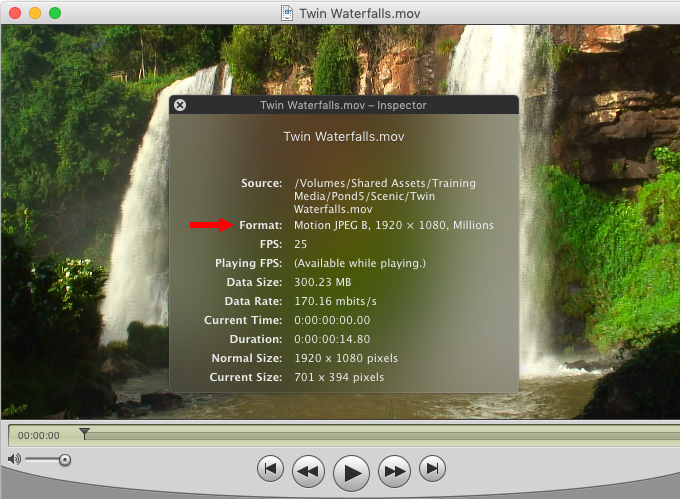 h 264 codec for quicktime mac